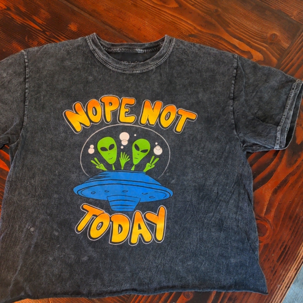 Fifth and Sun size Medium Juniors or Women's cropped graphic Tee